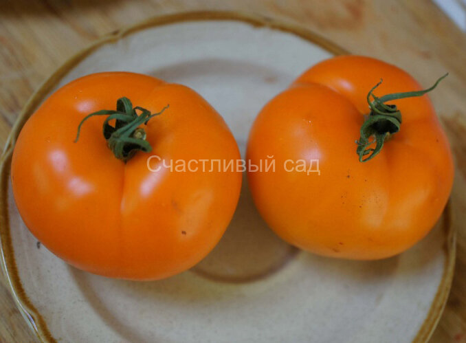 Пекинский оранжевый