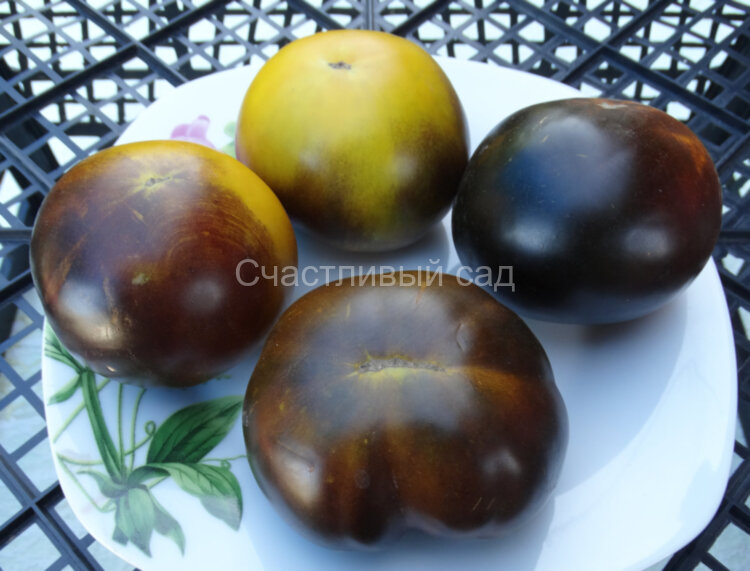 Wagner Blue Green (Сине-зеленый Вагнера)