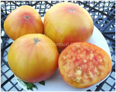 Pearl’s Yellow & Pink (Желто-розовый Жемчуг)