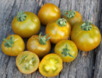 Sweet Baby Jade (Гном Сладкая (Милая) Малышка Джейд)