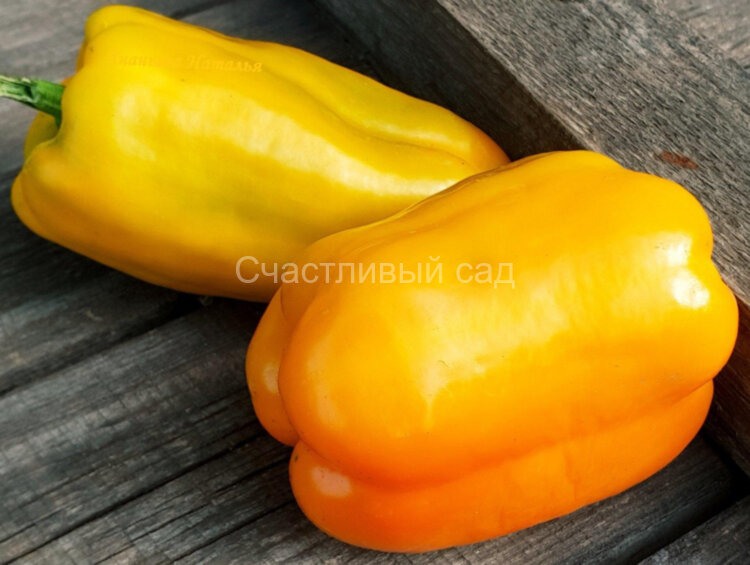 Перец Емеля Перец Емеля