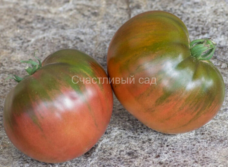 Frankenstein Black (Черный Франкенштейн)