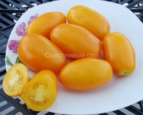 Гельфрут золотой 1.jpg . Гельфрут золотой