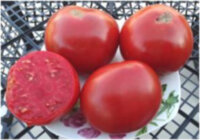 Розы Далласа