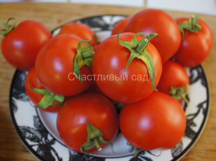 Сент Пьер (St. Pierre, Святой Петр)