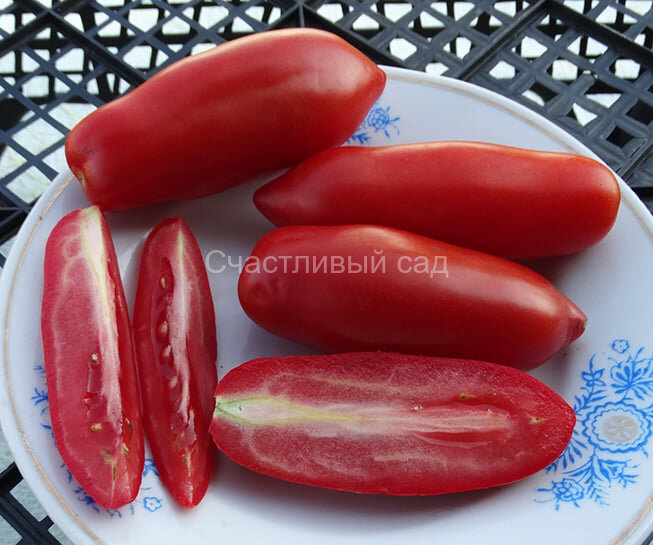 Dix Doigts de Naples (Десять пальцев из Неаполя)