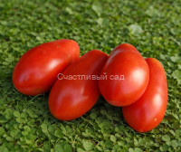 Dix Doigts de Naples (Десять пальцев из Неаполя)