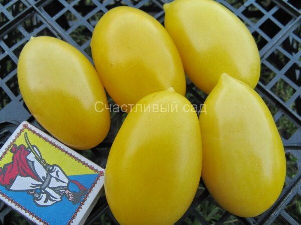 Кремовая сосиска (Cream Sausage) 