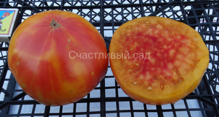 Southern Pride (Южная гордость)