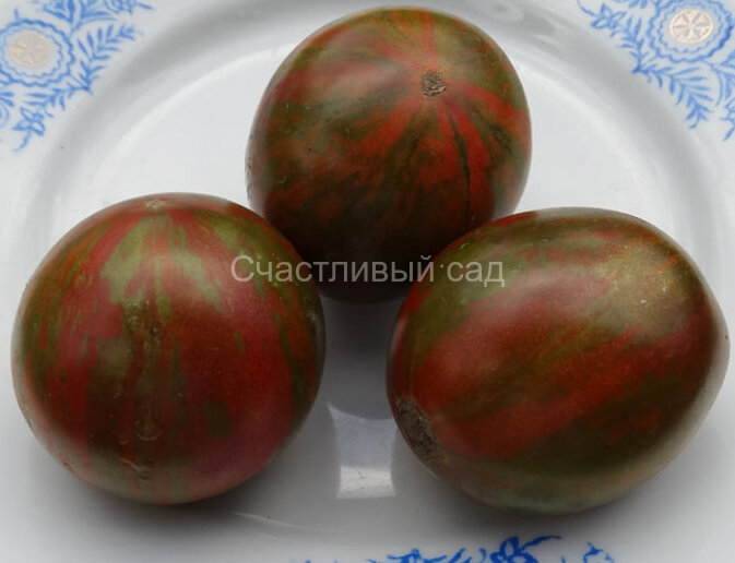 Aftershock (Афтершок) Aftershock (Афтершок)