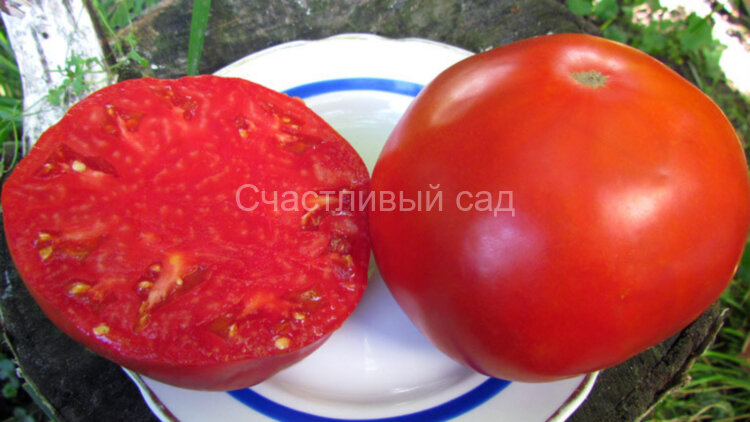 Merveille De Rochemont (Чудо Рошемона)