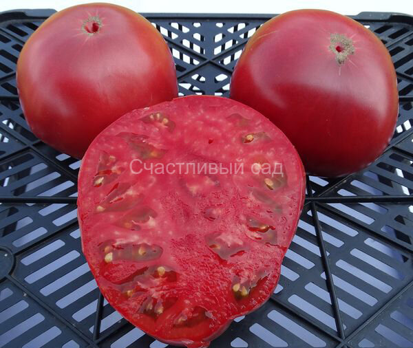 Pombriego del Bierzo (Помбриего дель Бьерсо)