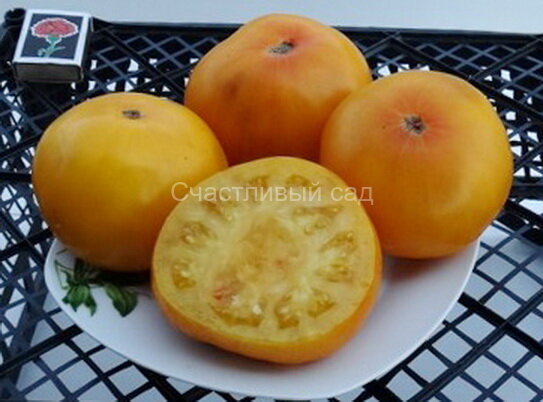 Французский жёлтый