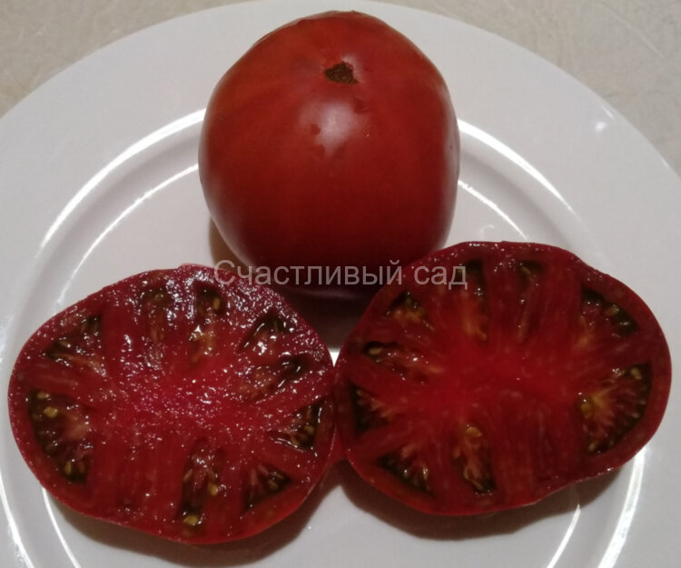 Black star (Черная звезда)