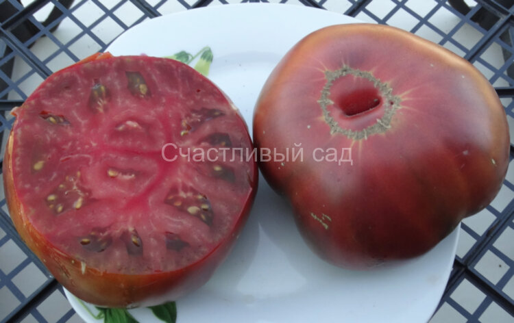 Brandywine True Black (Истинно черный Брэндивайн) 