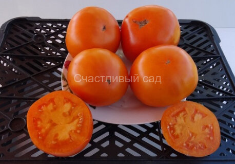 Ананасный Ананасный