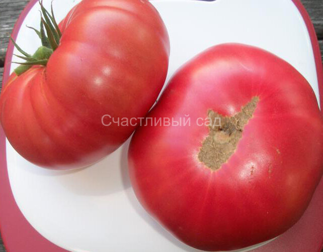 Тырновский розовый