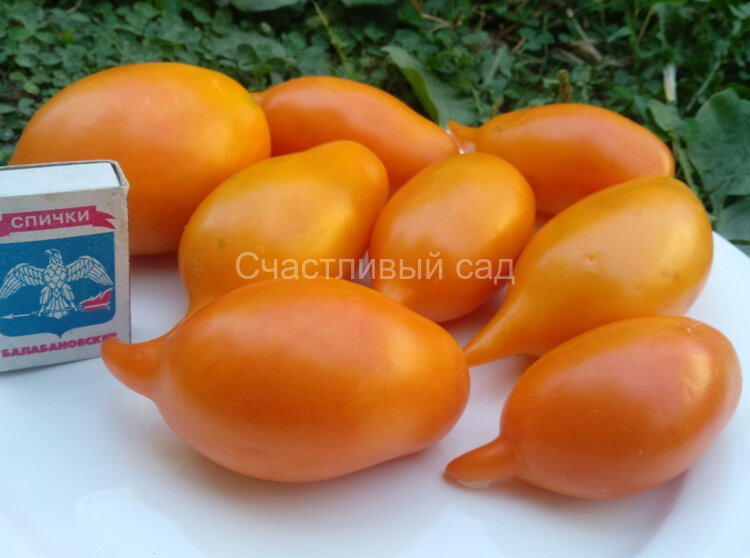 Orange Walk (Оранжевая Прогулка)