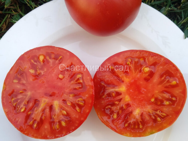 Кардинал - 2