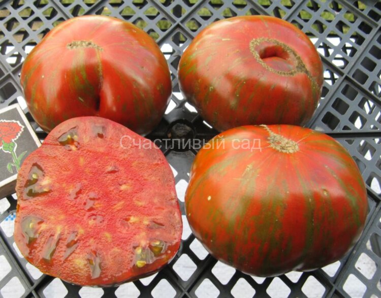 Brown Flesh (Коричневая мякоть)