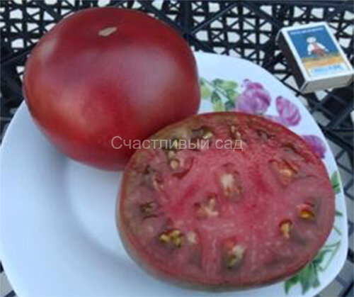 Carbon (Углерод) Carbon (Углерод)