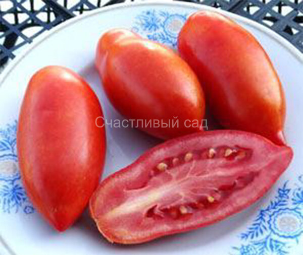 Super Italian Paste (Супер итальянская паста)