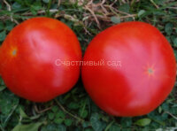 Соломасово