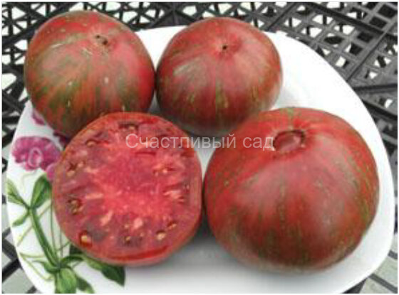 Dark Queen (Темная Королева)