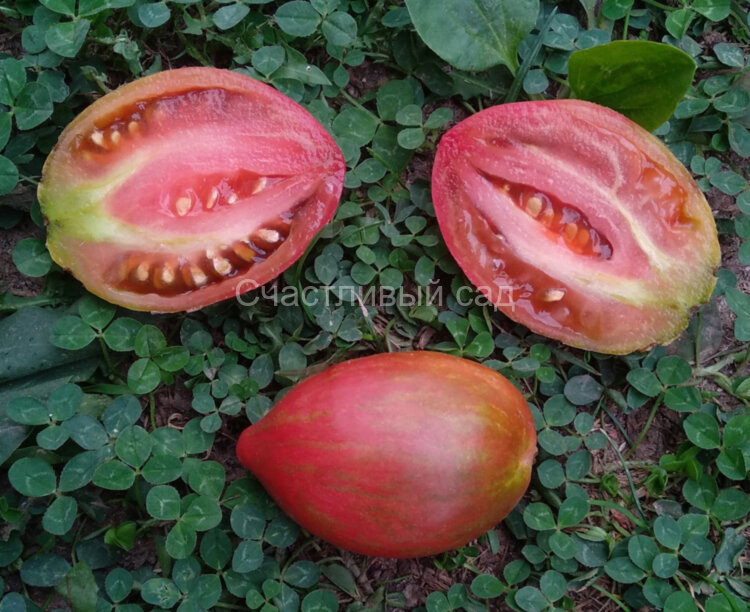 Sweet Tooth (Сладкий Клык) 