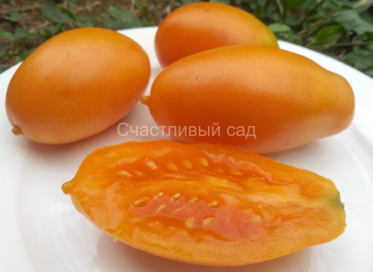 Wick’s Orange Paste (Апельсиновая паста Вика) Wick’s Orange Paste (Апельсиновая паста Вика)