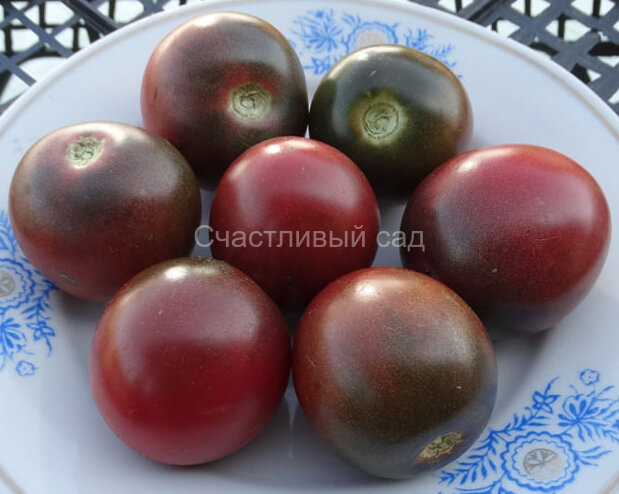 Haley’s Purple Comet (Пурпурная комета Хэйли)