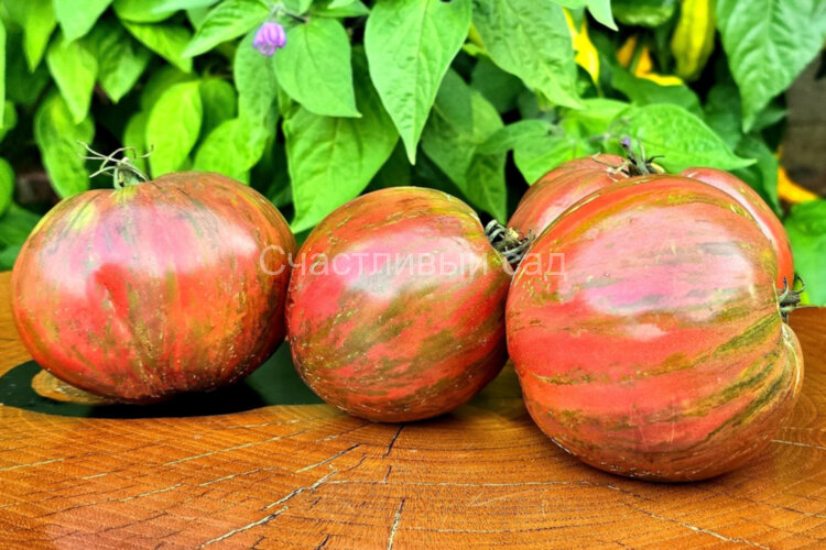 Восставший звездный истребитель Лунный свет Блэйна (Rebel Starfighter Blane's Moonlight) Восставший звездный истребитель Лунный свет Блэйна (Rebel Starfighter Blane's Moonlight)