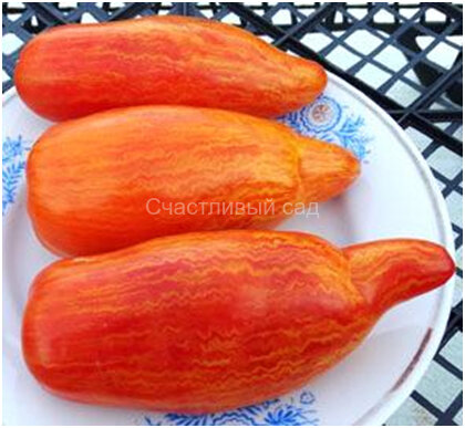 Yellow Fire (Желтый огонь)