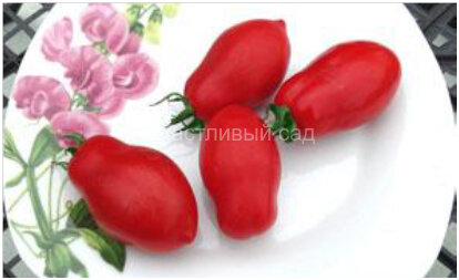 Служебный роман 