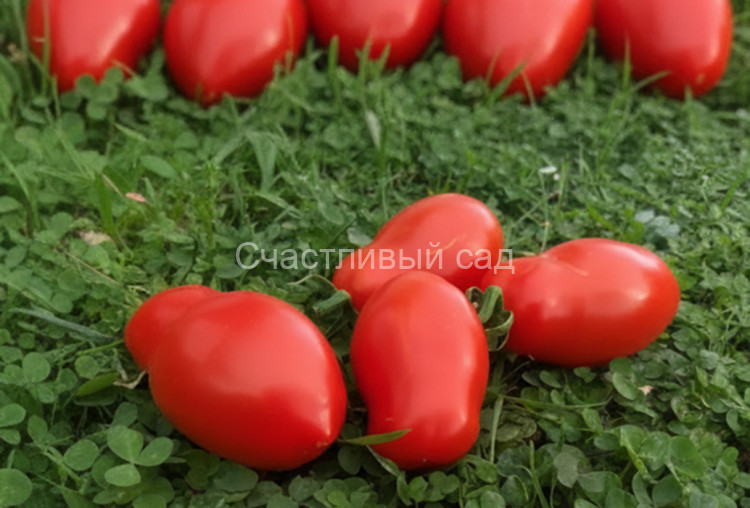 Служебный роман 