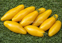 Bananu (Банану)