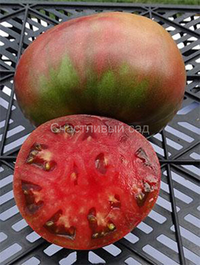 Jumbo Purple (Гигантский пурпурный) Jumbo Purple (Гигантский пурпурный)