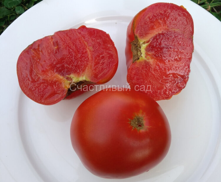 Минусинский сахарный