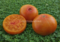 Dwarf Awesome (Гном Удивительный)