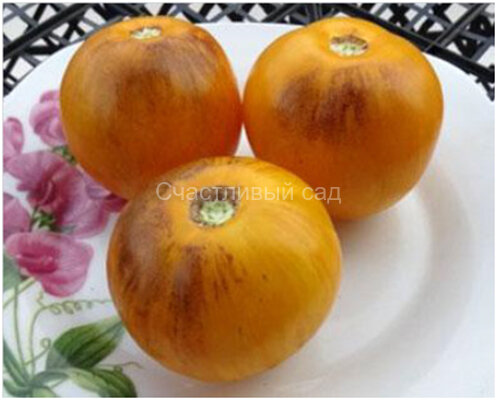 Golden Tiger (Золотой тигр)