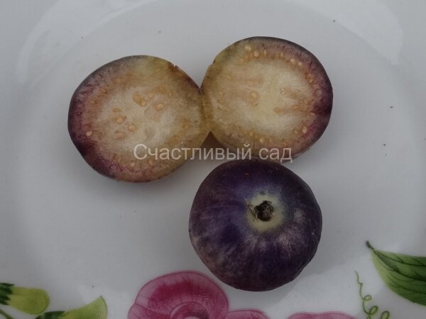 Физалис Сливовый джем