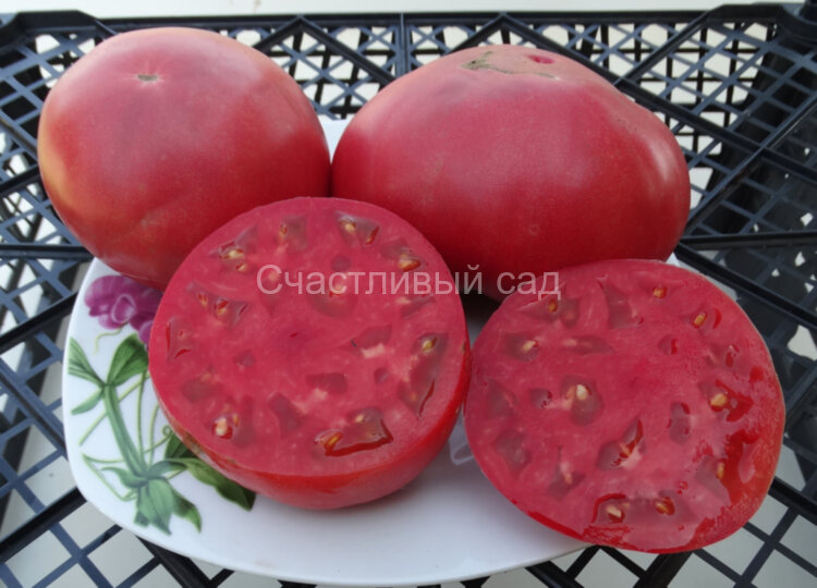 Черногория