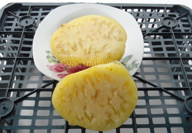 Белый сердцевидный