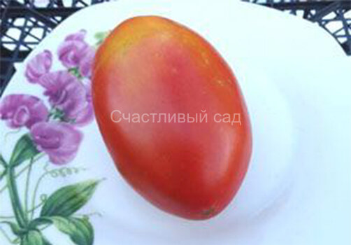 Ludmilla’s Red Plum (Красная слива Людмилы)