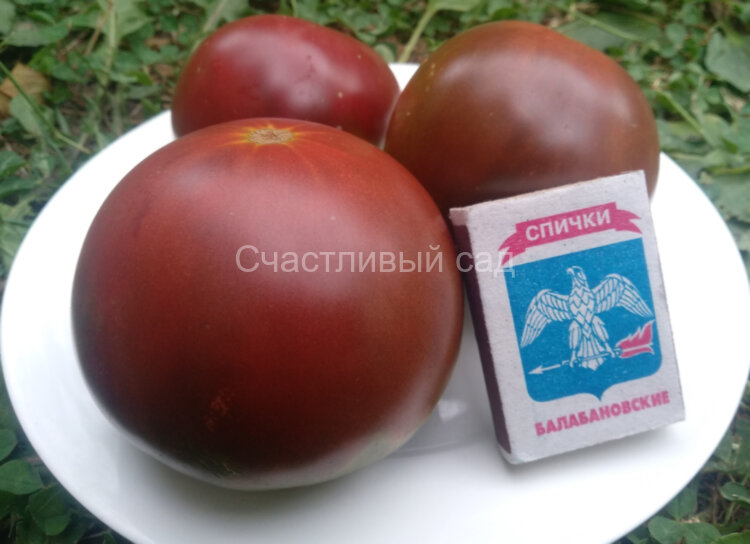 Kozula 147 (Козула 147) Kozula 147 (Козула 147)