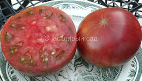 Черный из Тулы (Black From Tula)