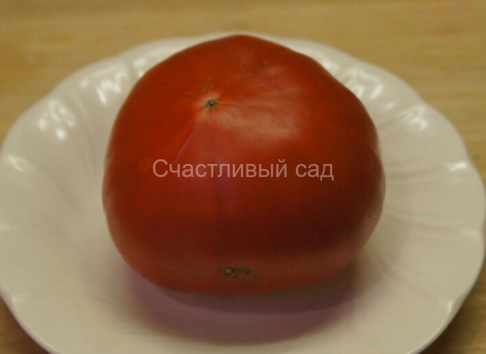 Невис с Азорских островов