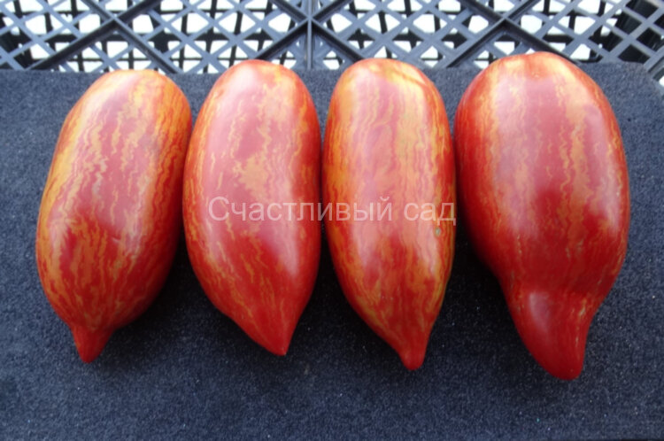 Искры пламени