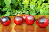 Gondwana Lightning (Гном Молния Гондвана)