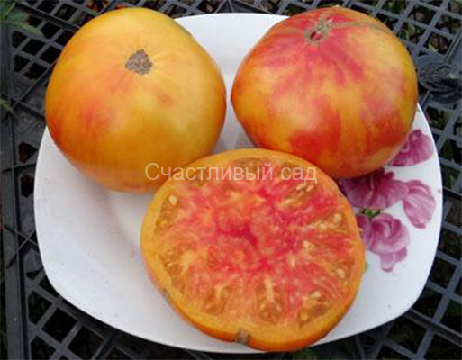 Розелла (Rozella)